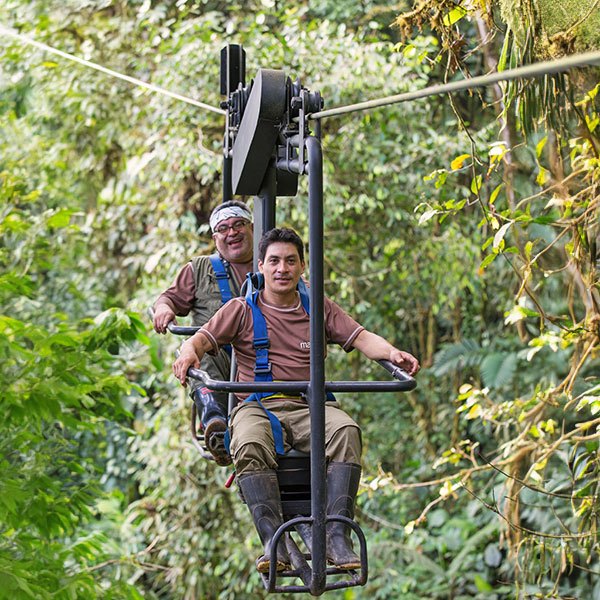 first-class-cloud-forest-q1