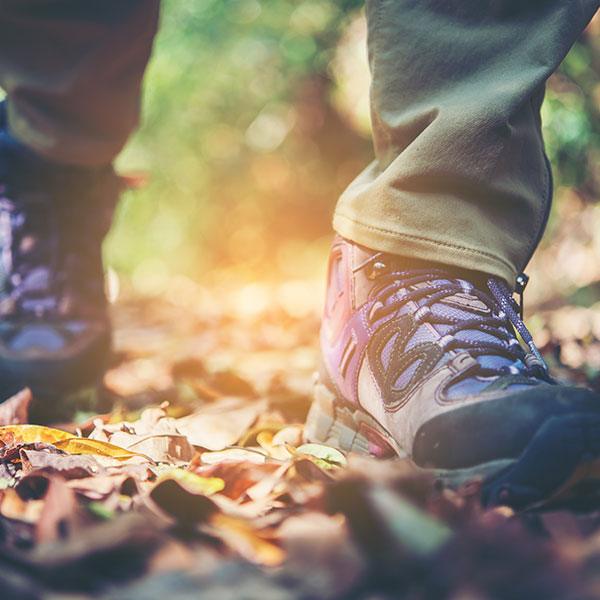 high-fitness-tours-q1