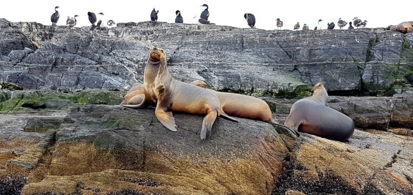 Galapagos Island Tour Wildlife