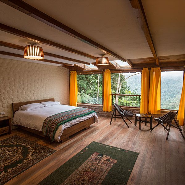 superior-cloud-forest-q1